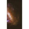Cena początkowa 357zł. Fototapeta 375729515