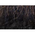 Cena początkowa 315zł. Fototapeta samoprzylepna wf286