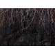 Fototapeta samoprzylepna wf286