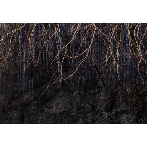Fototapeta samoprzylepna wf286
