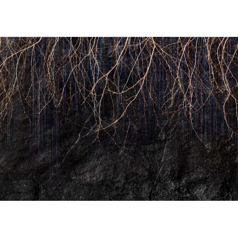 Fototapeta samoprzylepna wf286