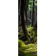 Fototapeta 412026839