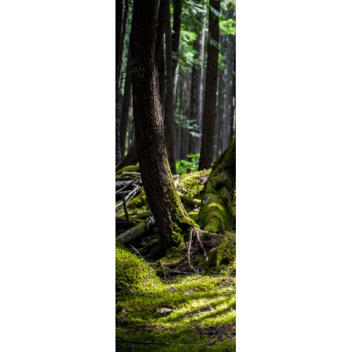 Fototapeta 412026839