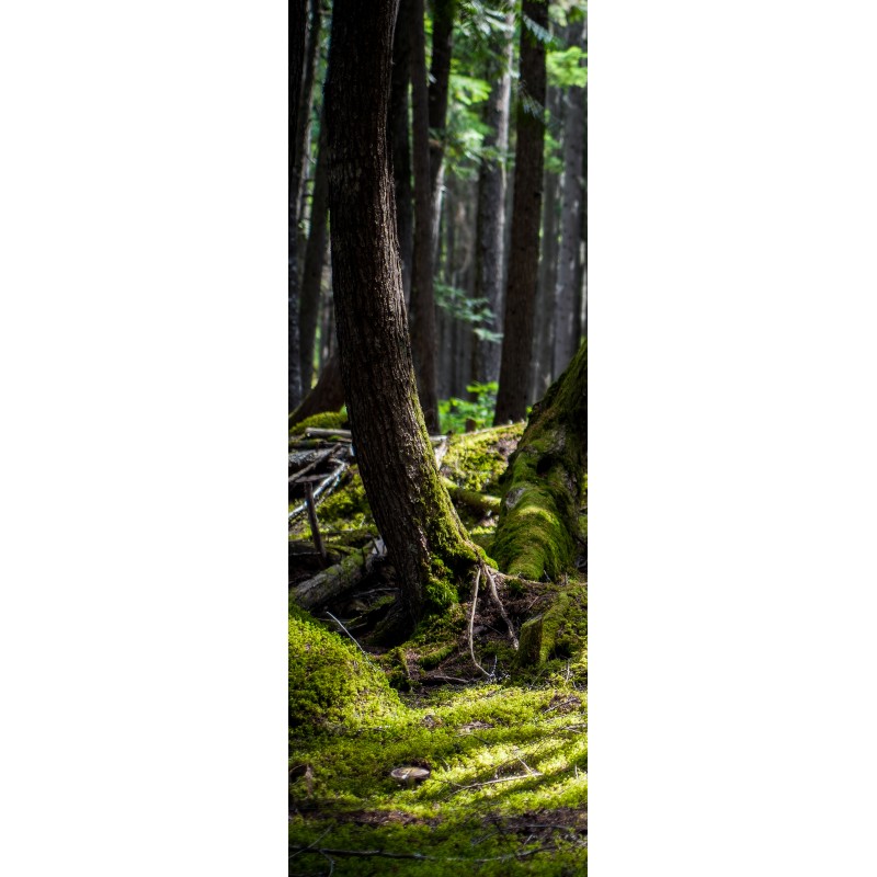 Fototapeta 412026839