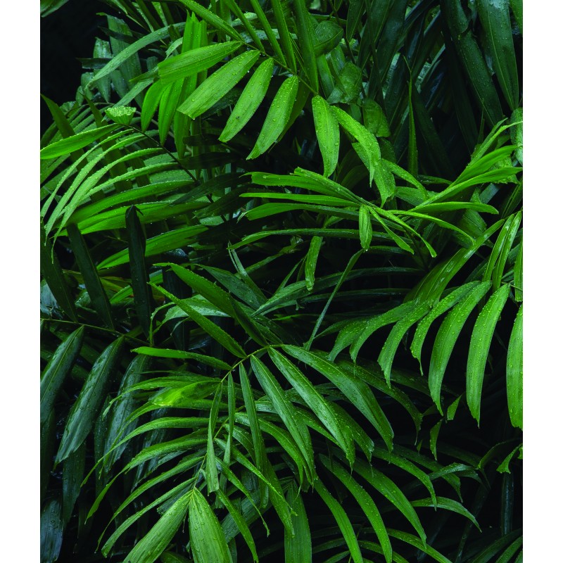 Fototapeta samoprzylepna 209254306-1