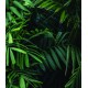 Fototapeta samoprzylepna 209254306-2