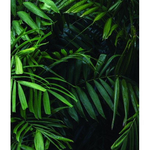 Fototapeta samoprzylepna 209254306-2