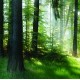 Fototapeta samoprzylepna 118164196-1