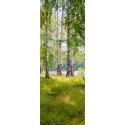 Cena początkowa 451zl. Fototapeta 257257516