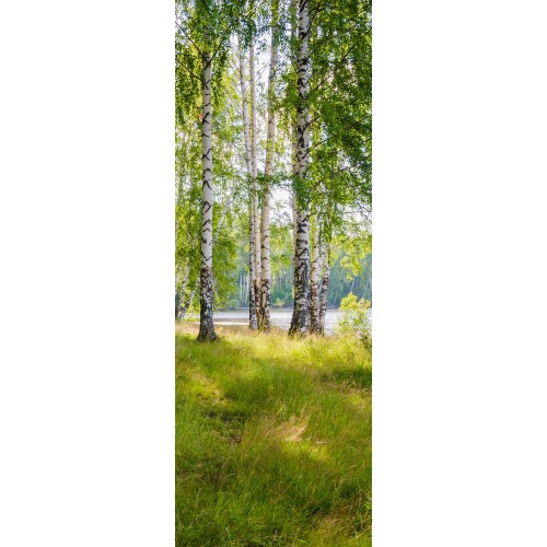 Cena początkowa 451zl. Fototapeta 257257516