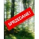 Fototapeta samoprzylepna 118164196-2