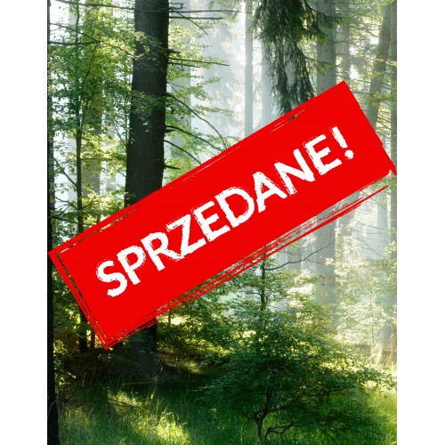 Fototapeta samoprzylepna 118164196-2
