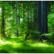 Fototapeta samoprzylepna 118164196-3