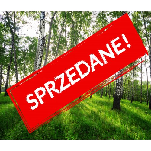 Cena początkowa 1523zł. Fototapeta 144250097