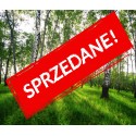 Cena początkowa 1523zł. Fototapeta 144250097