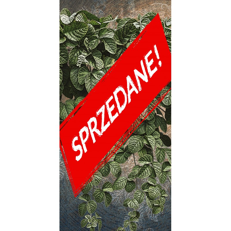 Cena początkowa 296zł. Fototapeta wf144-2