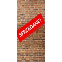 Cena początkowa 438zł. Fototapeta samoprzylepna 135424057-2