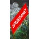 Cena początkowa 550zł. Fototapeta 292810617