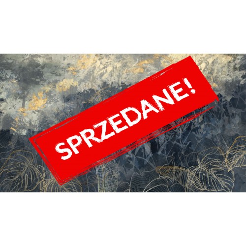 Cena początkowa 3887zł. Fototapeta 5107-1