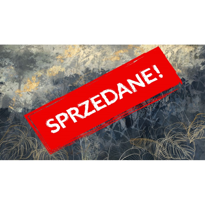 Cena początkowa 3887zł. Fototapeta 5107-1