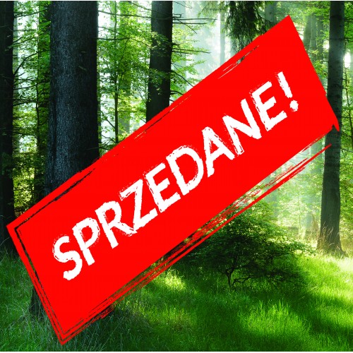 Cena początkowa 180zł. Fototapeta samoprzylepna 118164196-1