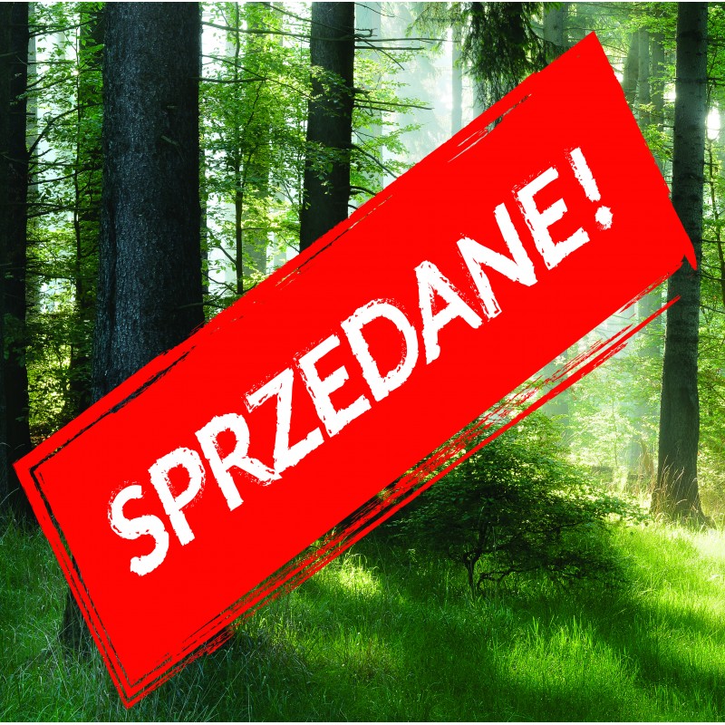 Fototapeta samoprzylepna 118164196-1