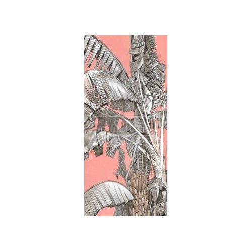 Fototapety Bananowiec autorstwa Kamila Siudzińskiego