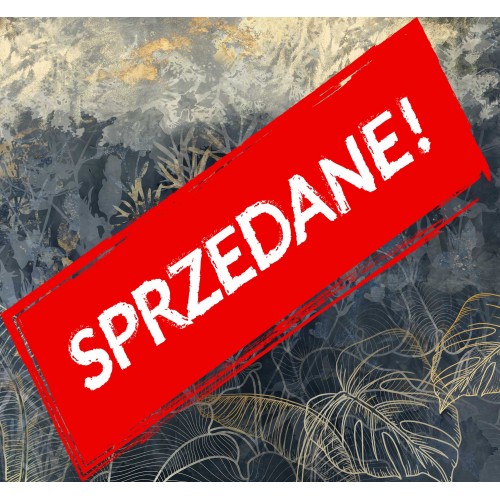 Cena początkowa 2332zł. Fototapeta 5107-2