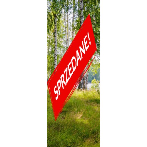 Cena początkowa 451zl. Fototapeta 257257516