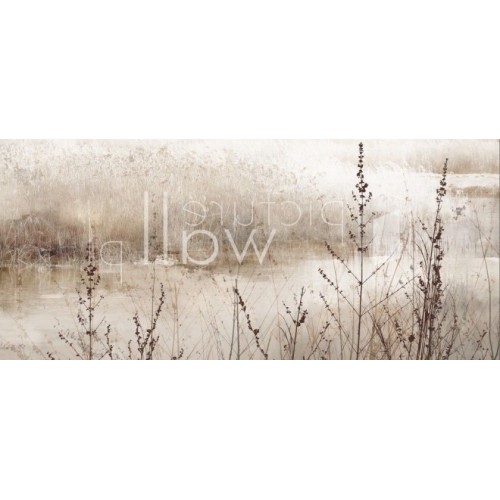 Fototapety Mglista dolina traw