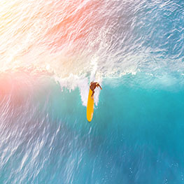 Naklejki na ścianę surfing