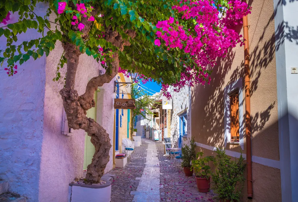 Fototapeta Betonowa wąska aleja Ano Syros na wyspie Syros, Cyklady, Grecja. Widok ulicy #wf795