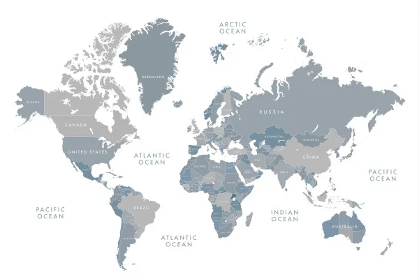 Naklejki na ścianę Mapa Świata w Odcieniach Szarości na wymiar