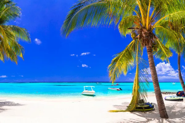 Obrazy Mauritius – tropikalna plaża widziana przez palmy na wymiar