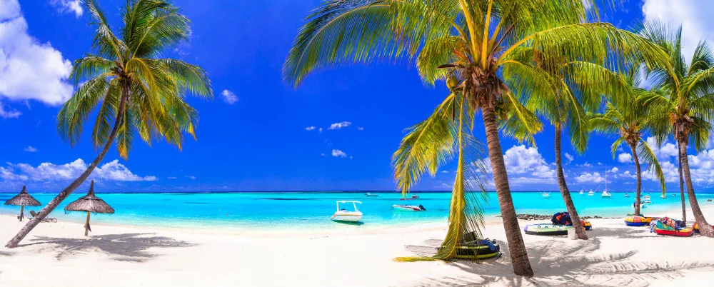 Fototapeta Mauritius – tropikalna plaża widziana przez palmy #wf991