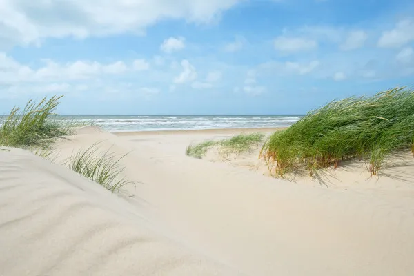 Obrazy Nadmorskie wydmy – plaża i błękitne morze na wymiar