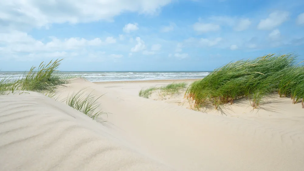 Fototapeta Nadmorskie wydmy – plaża i błękitne morze #wf984