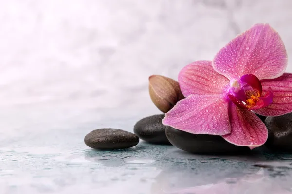 Obrazy Orchidea i kamienie SPA na marmurowym tle na wymiar