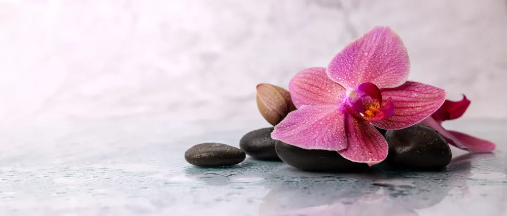 Fototapeta Orchidea i kamienie SPA na marmurowym tle #wf940