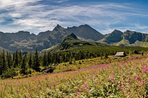 Obrazy Tatry – Kościelec i Hala Gąsienicowa na wymiar