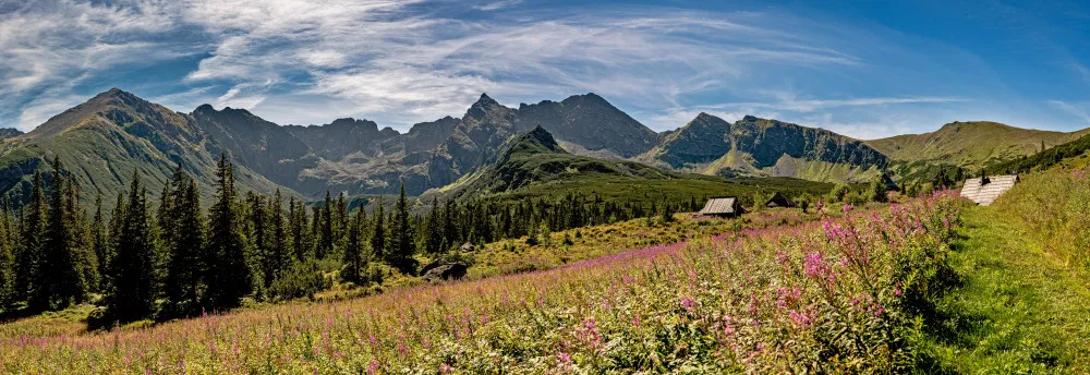 Obraz Tatry – Kościelec i Hala Gąsienicowa #wf788