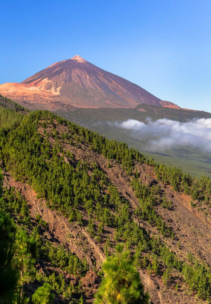 Fototapeta Wulkan Teide nad Lasem Sosnowym na Teneryfie #wf823
