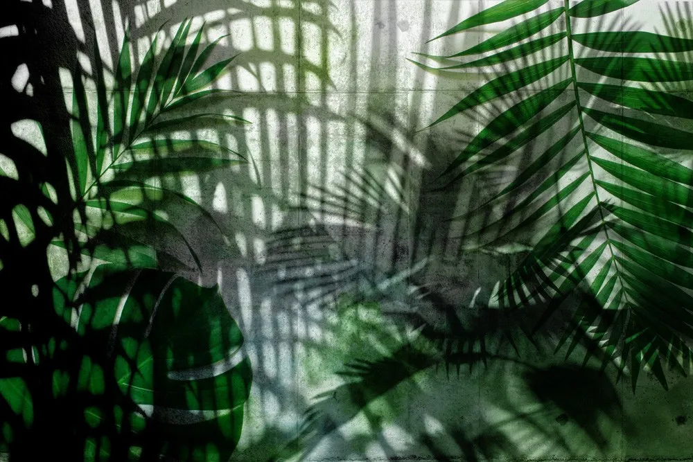 Fototapeta W cieniu palm #wf172