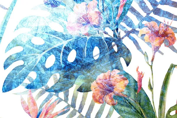 Fototapety monstera na wymiar