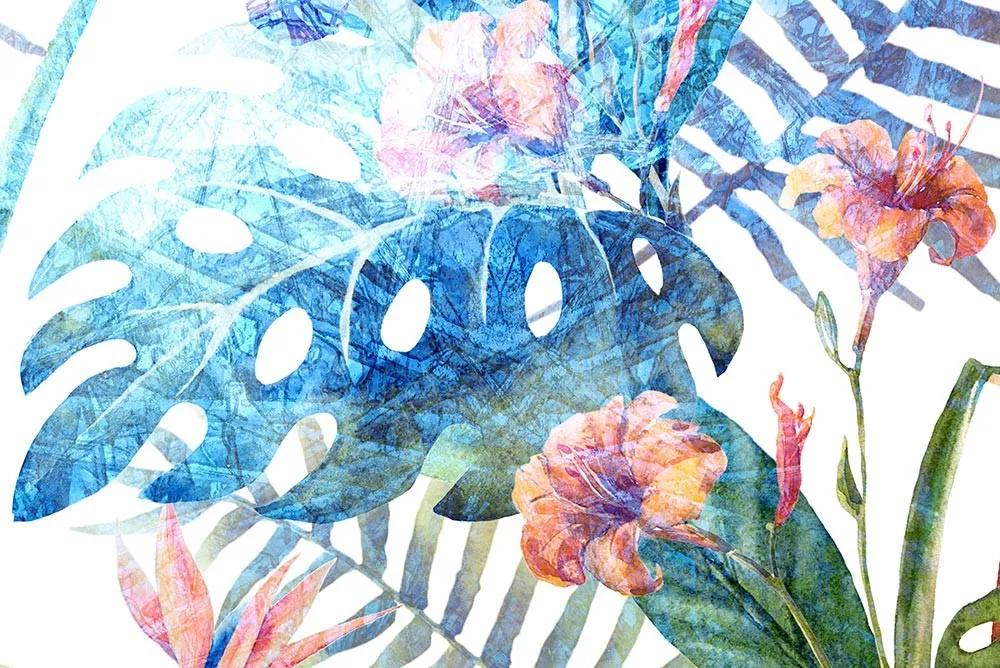Fototapeta monstera #wf226