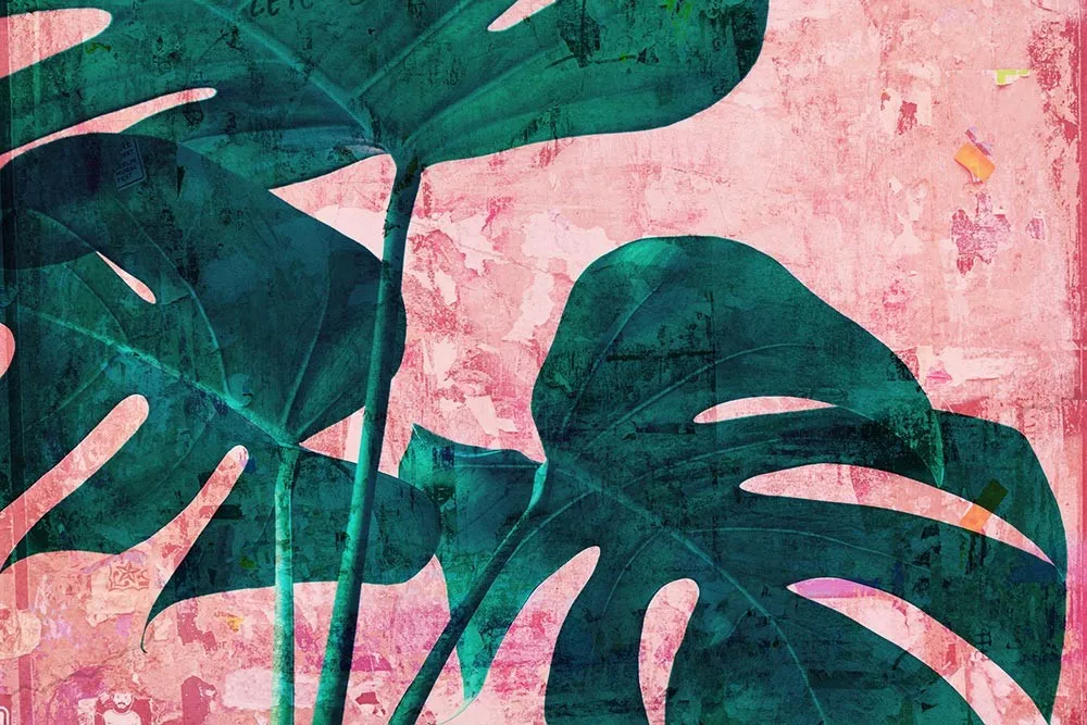 Fototapeta Abstrakcyjna monstera #wf282