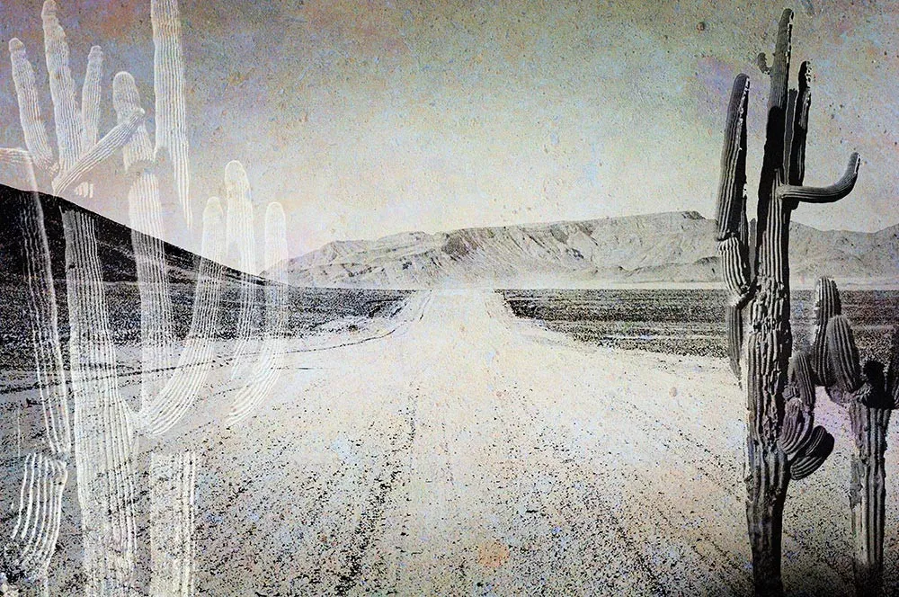 Fototapeta Fatamorgana #wf331