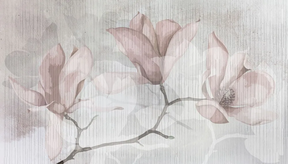 Fototapeta Delikatne magnolie #wf560