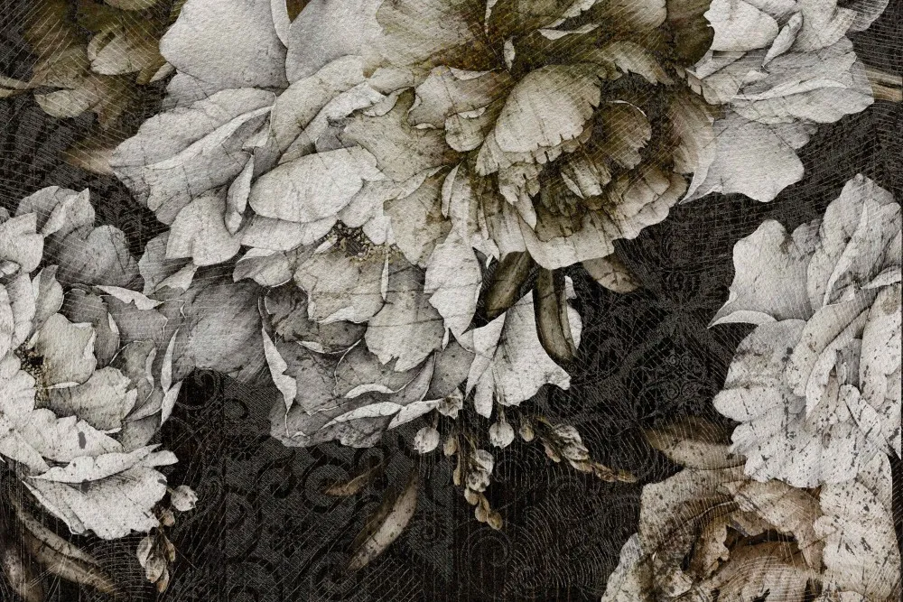 Fototapeta Peony #wf565