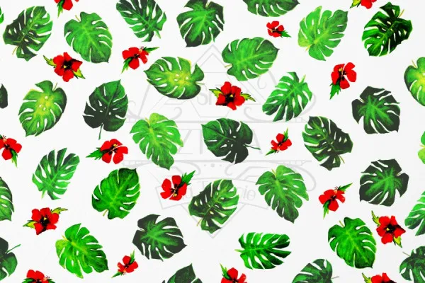 Obrazy Monstery i hibiskusy autorstwa Martyny Gorzelak na wymiar